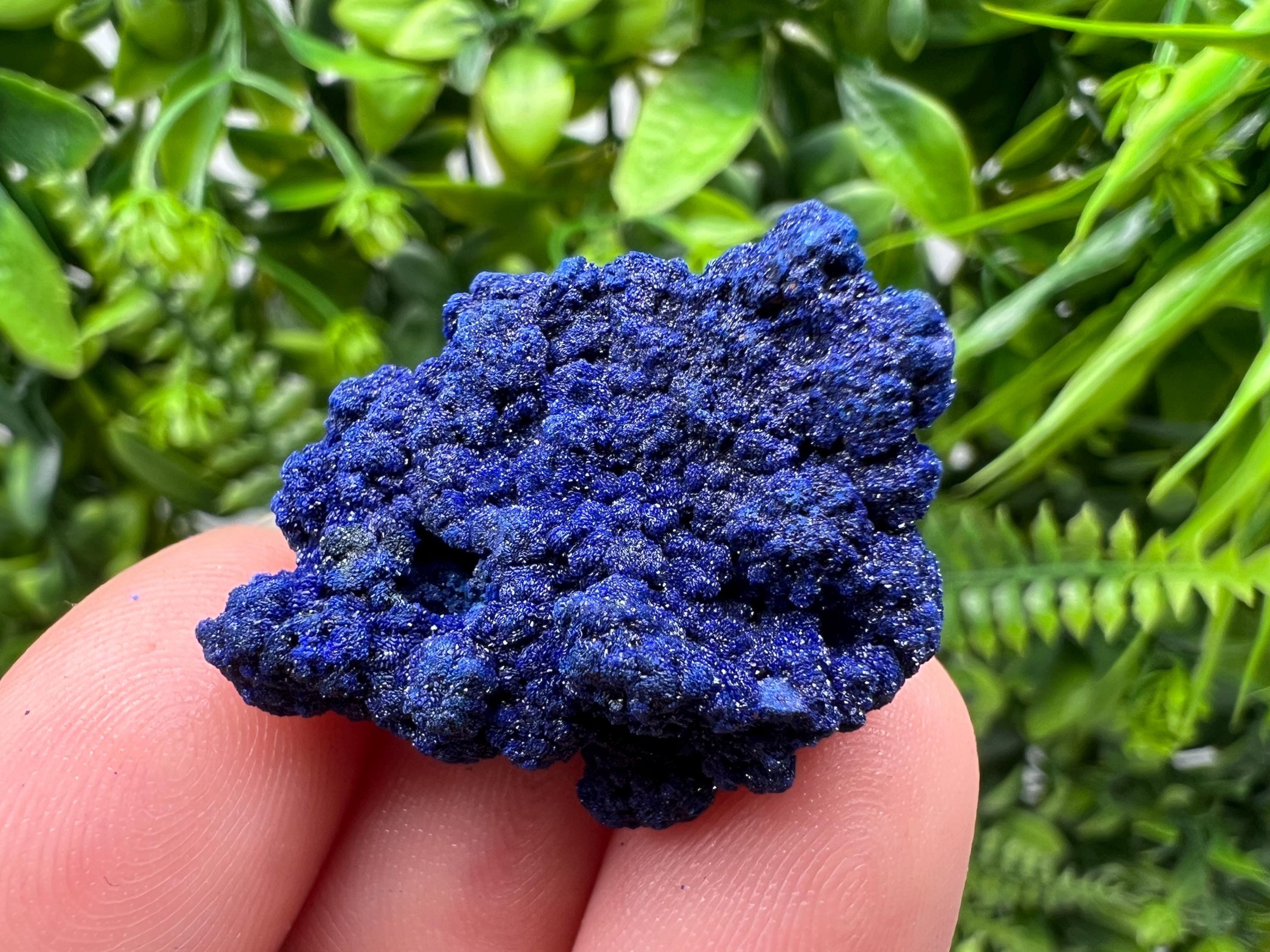 Crystallized Azurite-Kerrouchen,Morocco-Blue Azurite Specimen-High Quality Blue Azurite-Azurite Mineral Specimen, gemmy,lustrous of Azurite