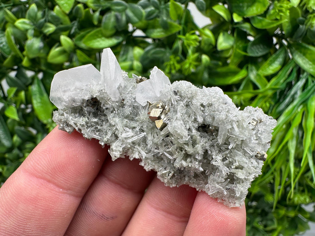 Pyrite on Green Quartz Mineral Specimen, Borieva Mine