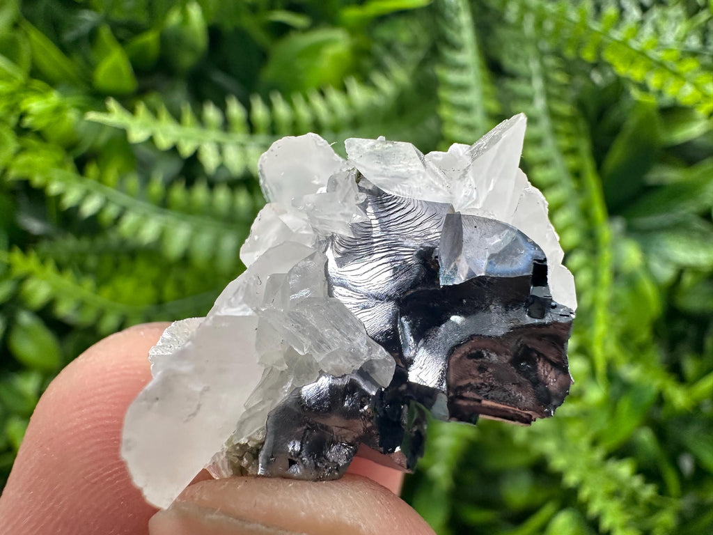 Quartz Galena Calcite Specimen: Borieva Mine, Bulgaria