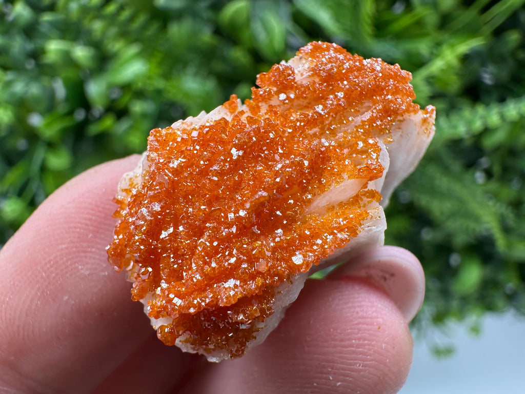 Red Vanadinite on Barite Cluster, Moroccan Crystal Specimen