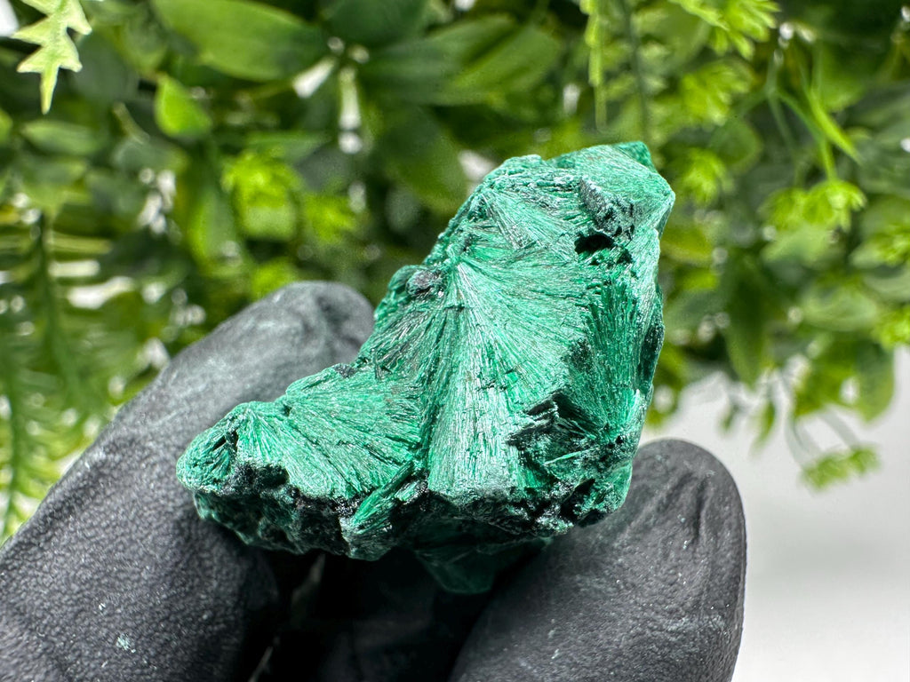 Malachite Crystal from Congo,Minerals,Crystals from Congo,Green Malachite, Malachite,Natural Malachite,Malachite Stone,Chakra, Specimens