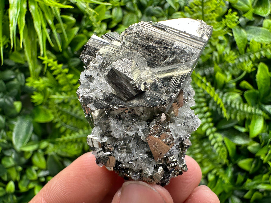 Pyrite on Needle Quartz: Chlorite Inclusions, Borieva Mine, Bulgaria