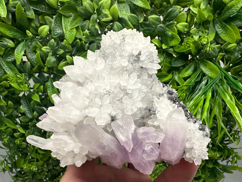 Quartz with Amethyst and Spahelrite, Djurcovo Mine, Bulgaria