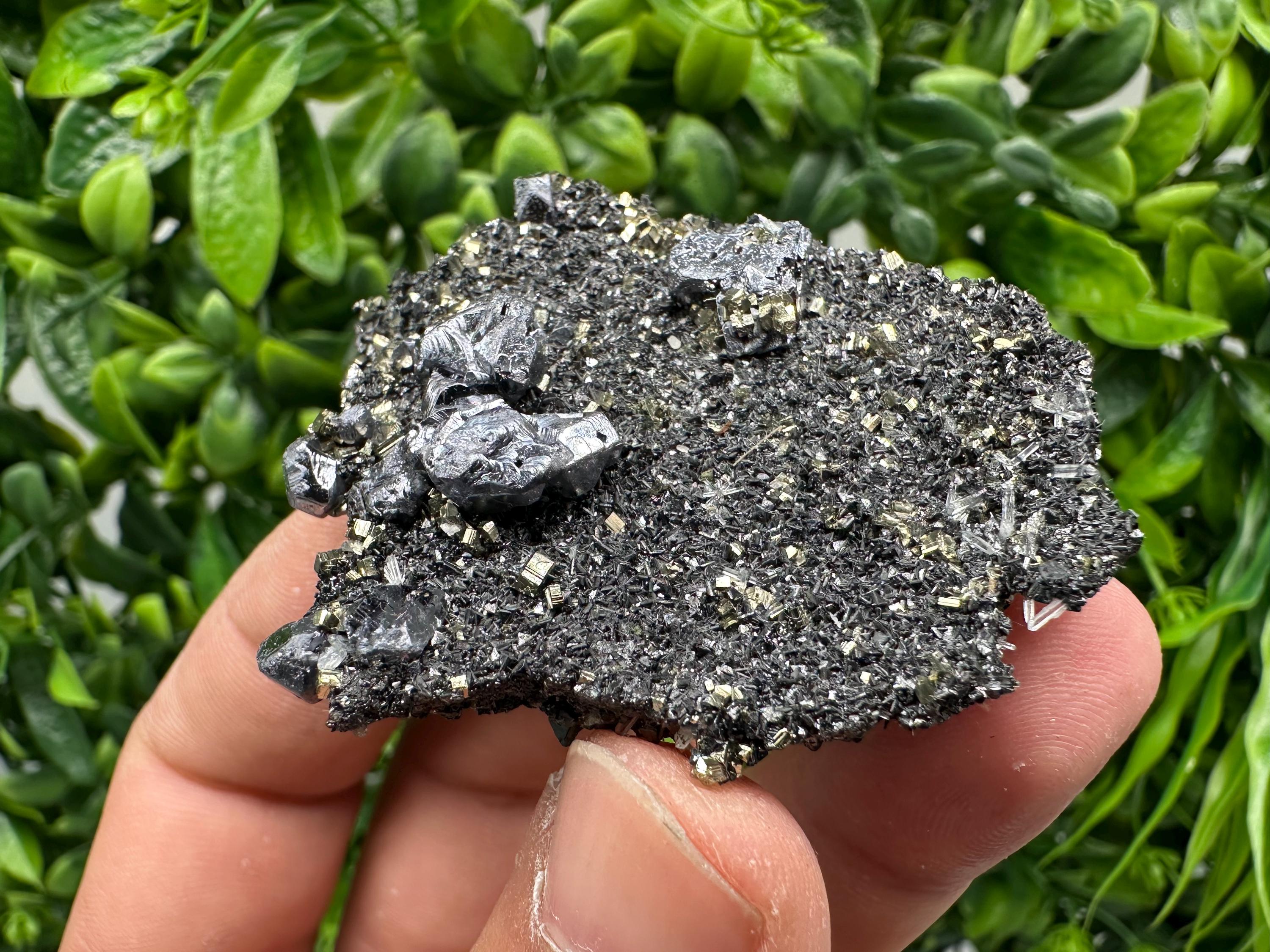 Galena Sphalerite Pyrite Crystal, Borieva Mine, Bulgaria