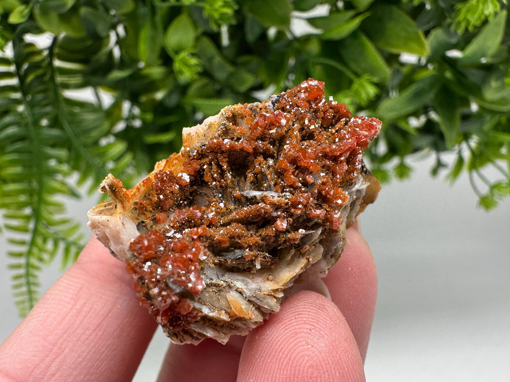 Red Vanadinite on Barite from Marocco,crystal minerals Speciment cluster Vanadinite crystal Vanadinite Geology Vanadinite cluster minerals