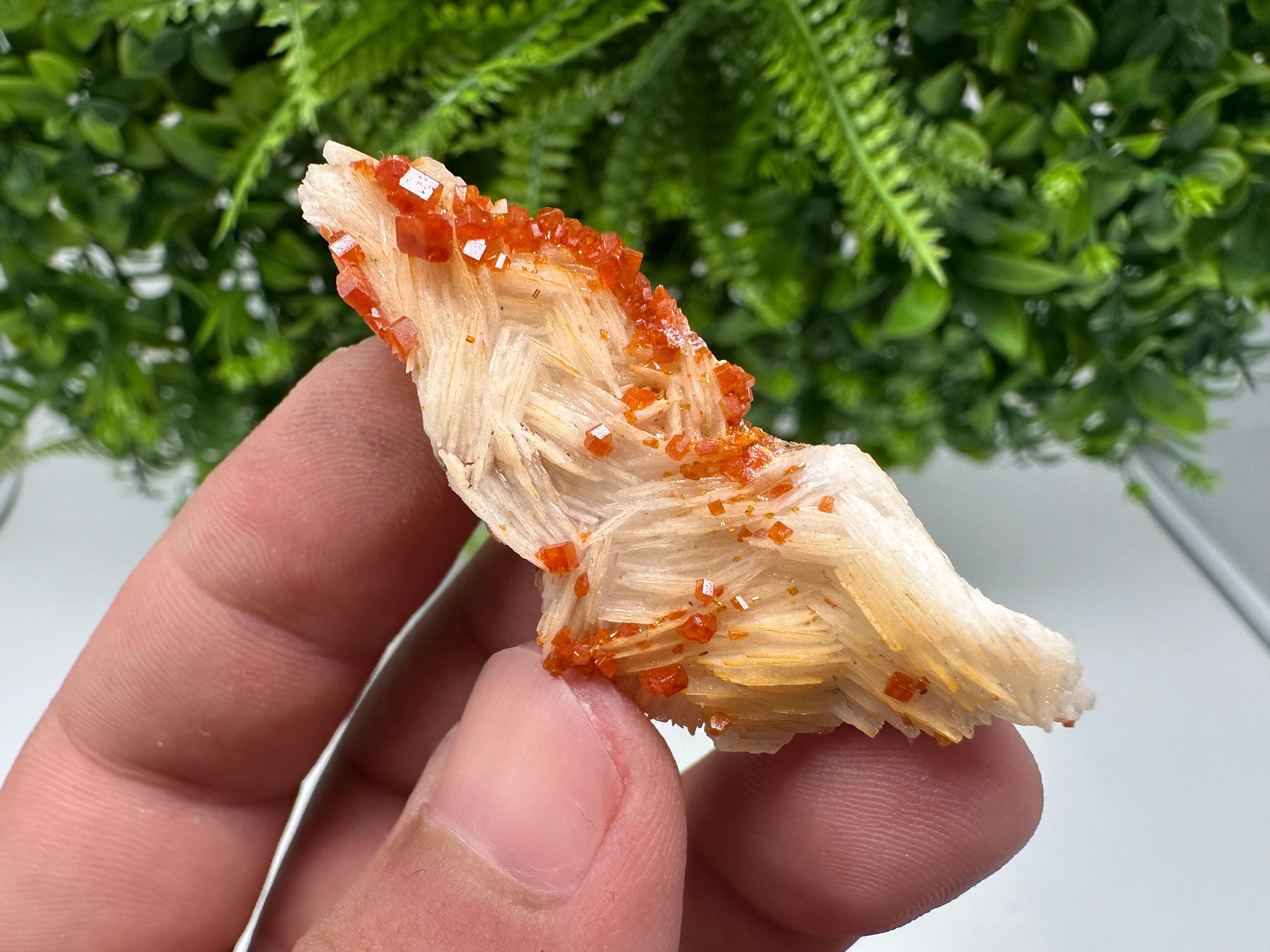 Red Vanadinite on Barite from Marocco,crystal minerals Speciment cluster Vanadinite crystal Vanadinite Geology Vanadinite cluster minerals