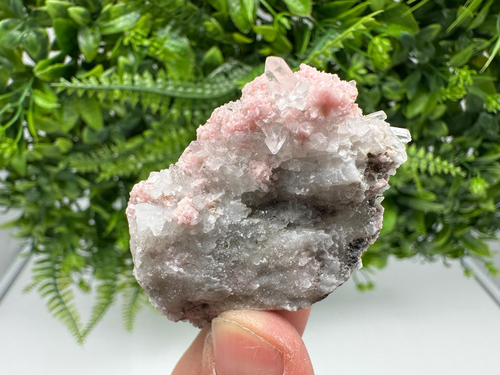 Pink Rhodochrosite Crystal, Starnica Mine, Bulgaria, Mineral Decor