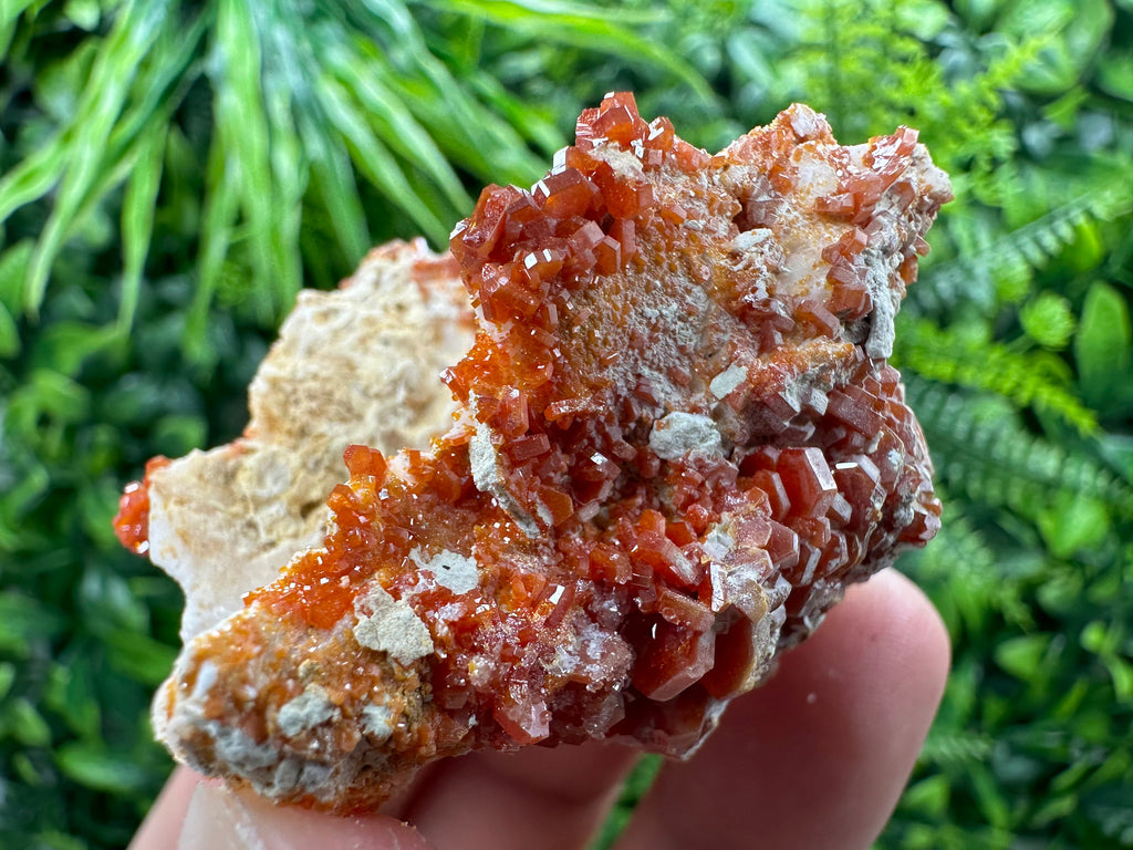 Red Vanadinite Crystal Cluster on Matrix, Morocco Mineral Specimen