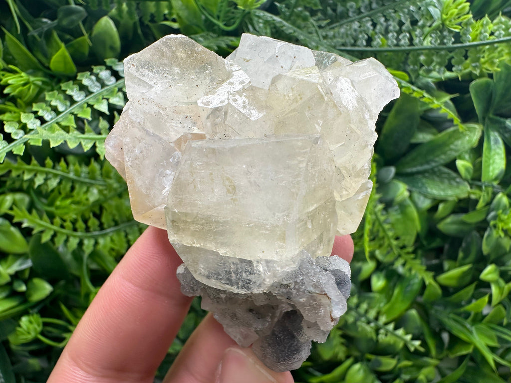 Apophyllite Stilbite on Chalcedony, India Mineral Specimen