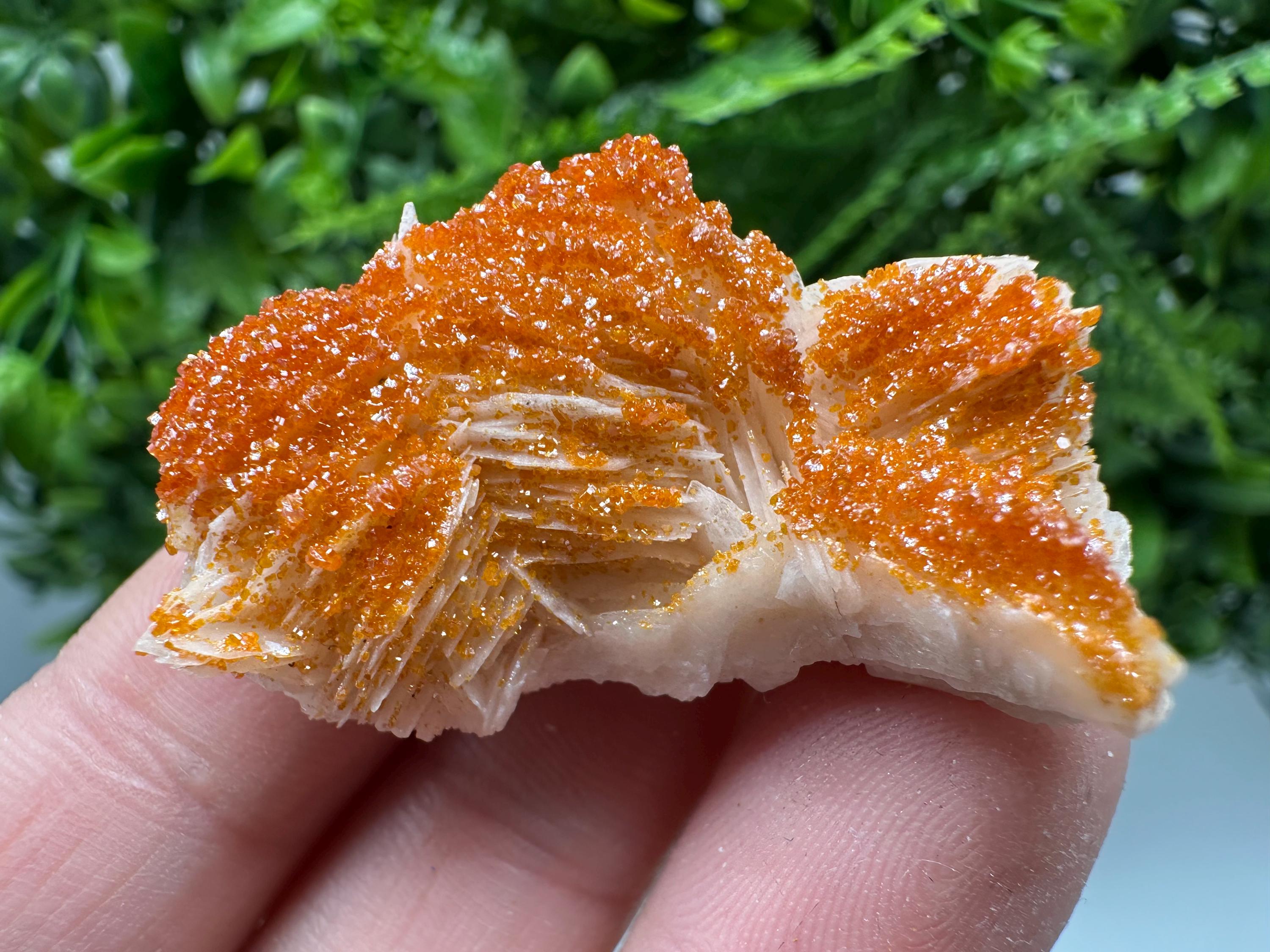 Red Vanadinite on Barite, Moroccan Crystal Specimen