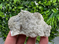Barite Marcasite Chalcedony Cluster, Androvo Mine, Bulgaria