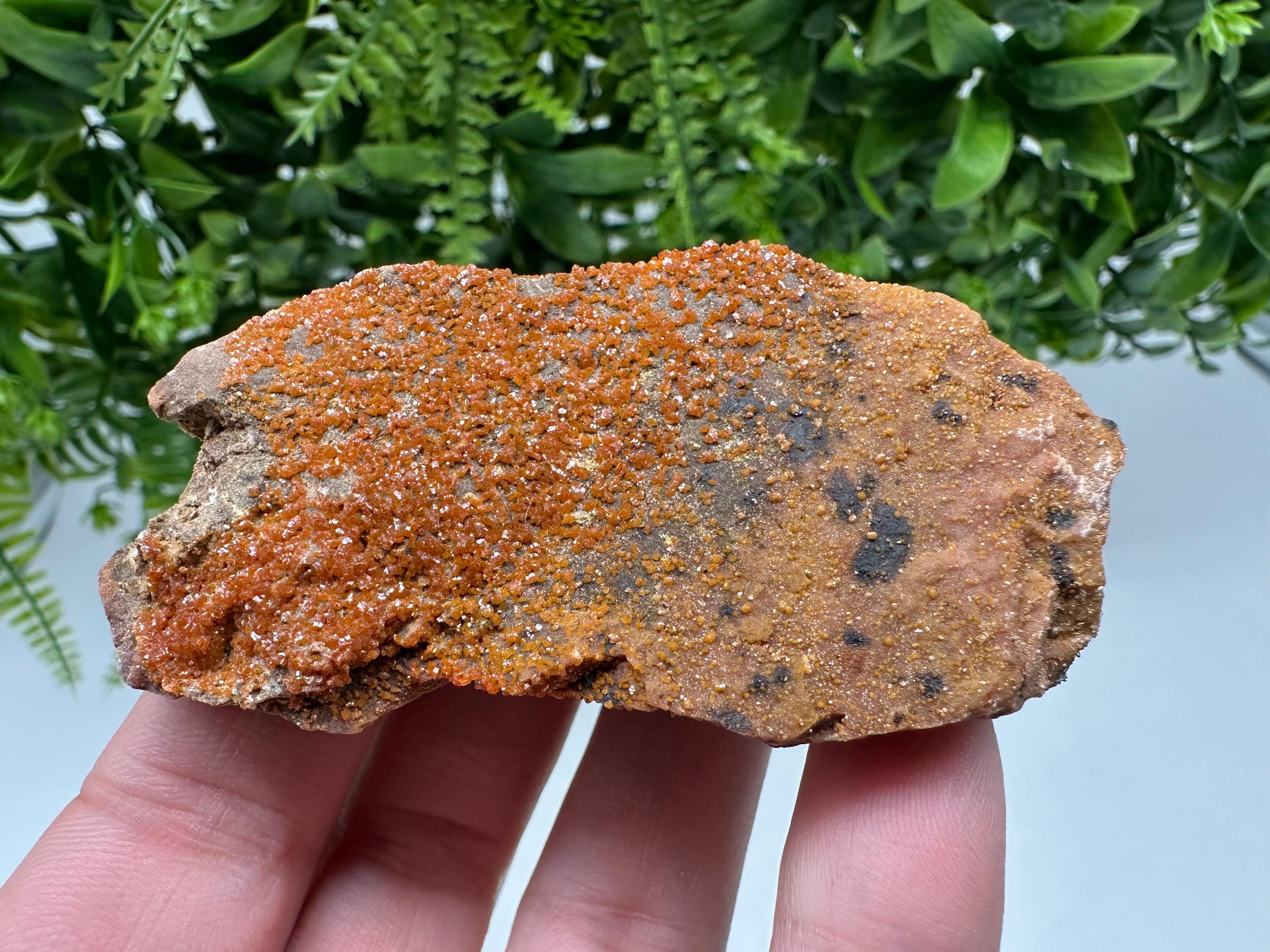 Red Vanadinite on Matrix from Marocco,crystal minerals Speciment cluster Vanadinite crystal Vanadinite Geology Vanadinite cluster minerals