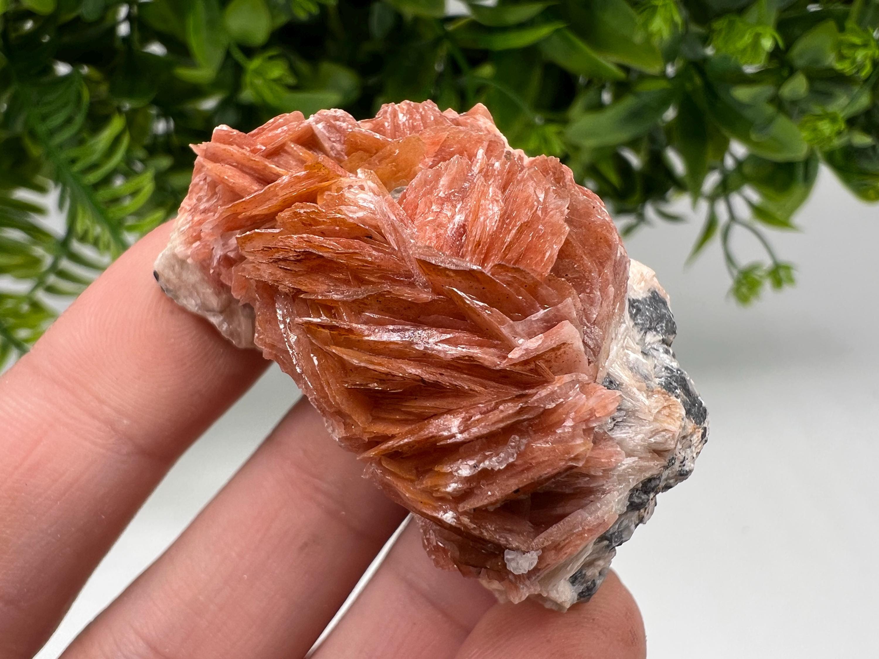 Wonderful Baryte with Cerussite on Galena from Morocco,Crystal, Mineral,Specimen,Cluster,Crystals,Barite Crystal,Cerussite Crystal,Specimen