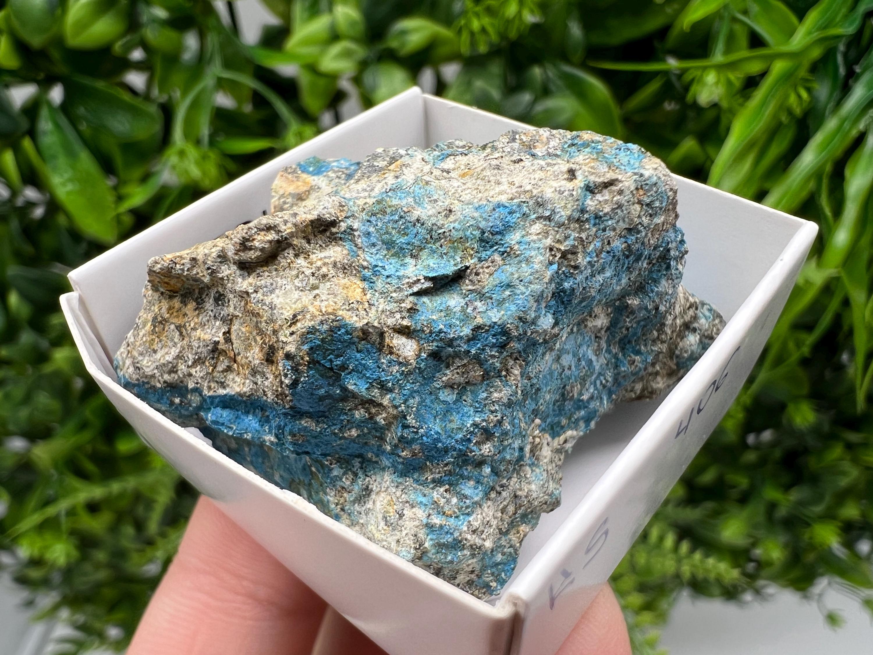 Rare Raw Aerinite Mineral Specimen: Lleida, Spain Collection Crystal