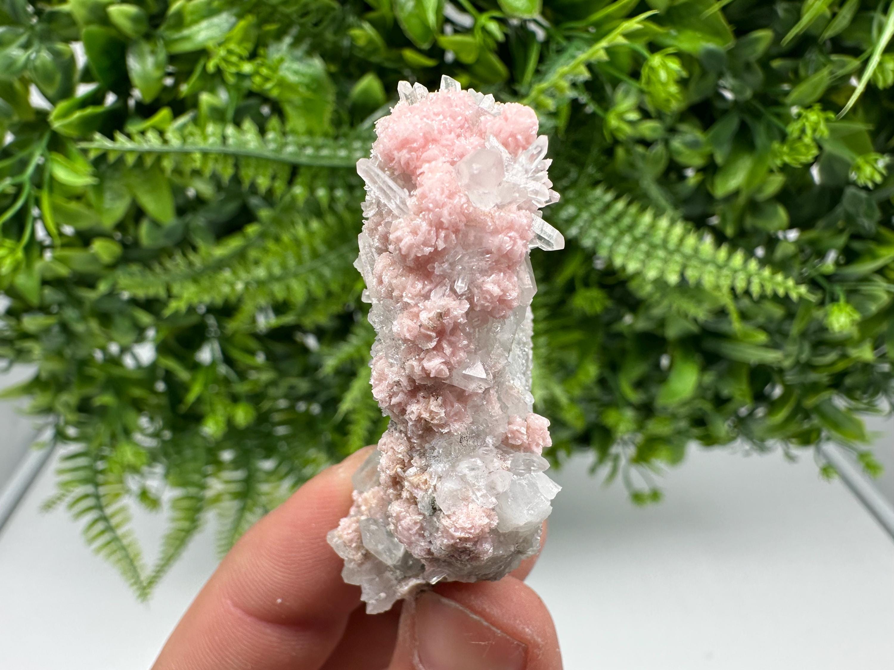 Pink Rhodochrosite Crystal, Starnica Mine, Bulgaria, Mineral Decor
