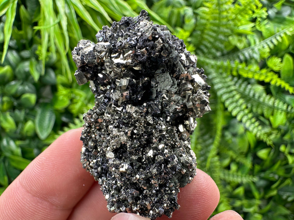 Pyrite on Quartz Needles: Borieva Mine Bulgaria Crystal Decor