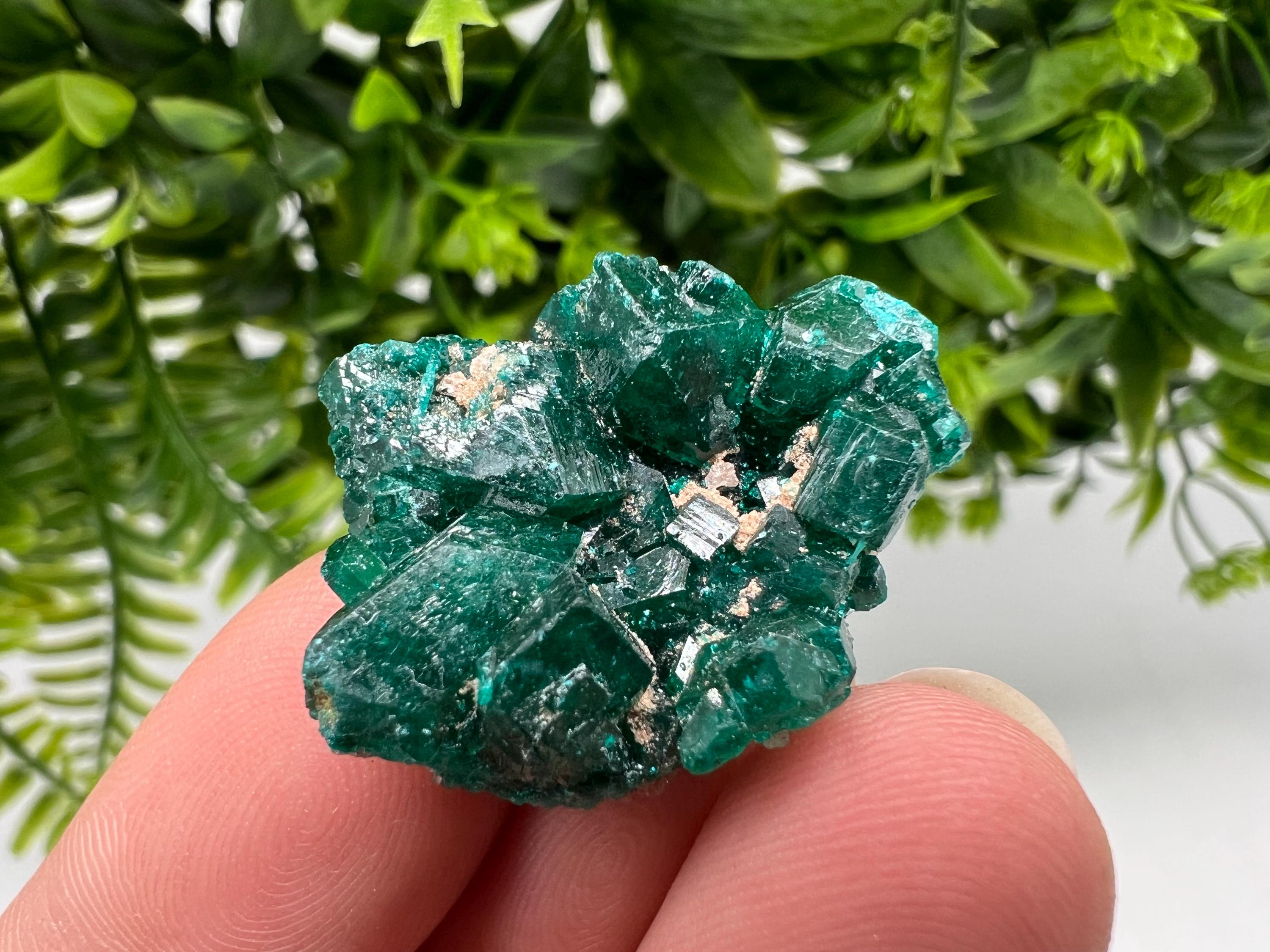 Stunning Green Dioptase from Sanda Hills,Mindouli,Pool Department,Mindouli District,Congo,green Dioptase,Dioptas Crystal,Dioptase collecting