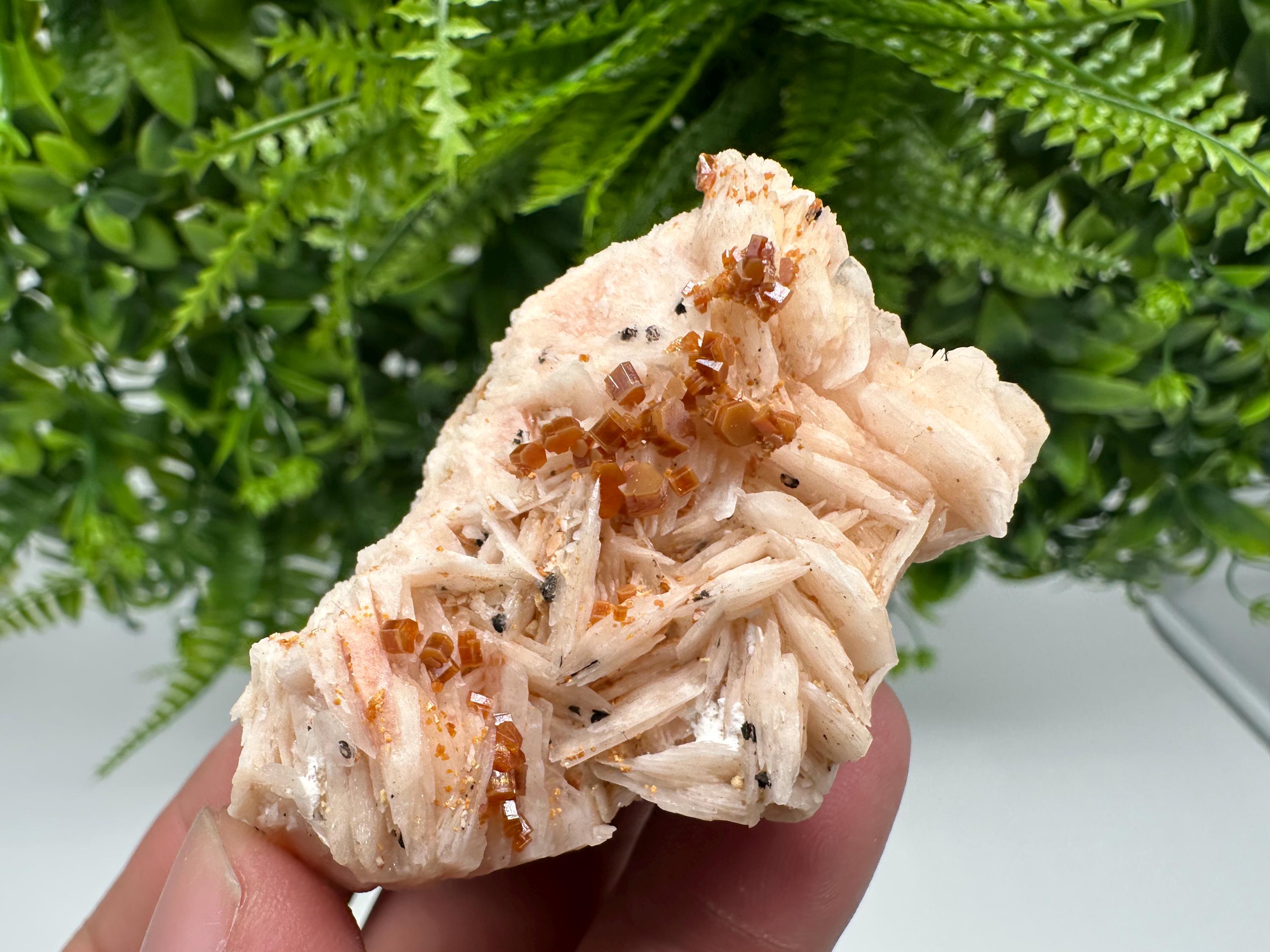 Red Vanadinite on Barite, Moroccan Crystal Specimen