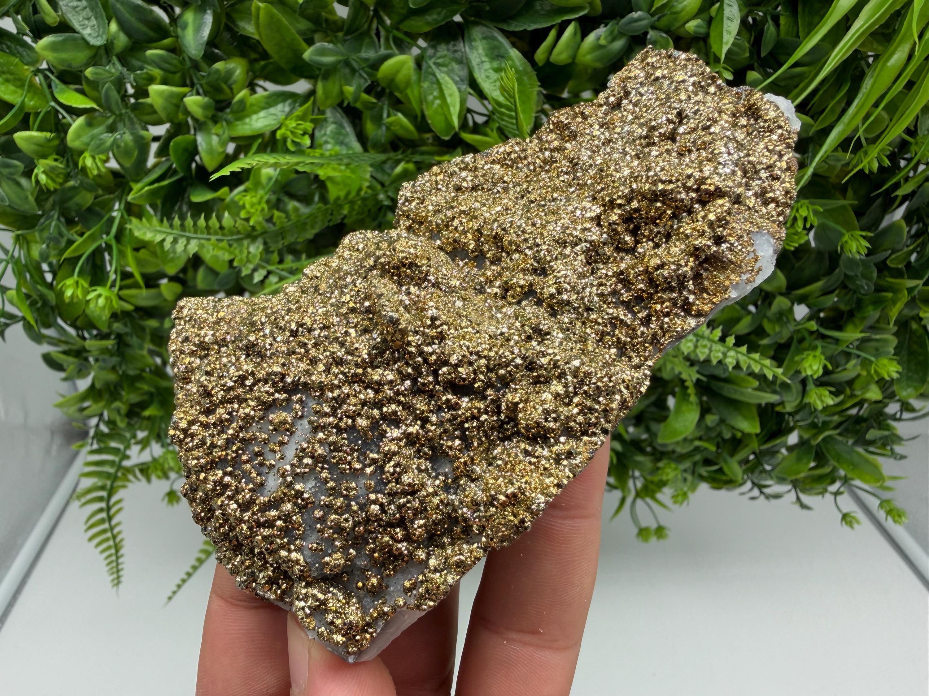 Marcasite Cluster on Chalcedony, Bulgaria Mineral Specimen