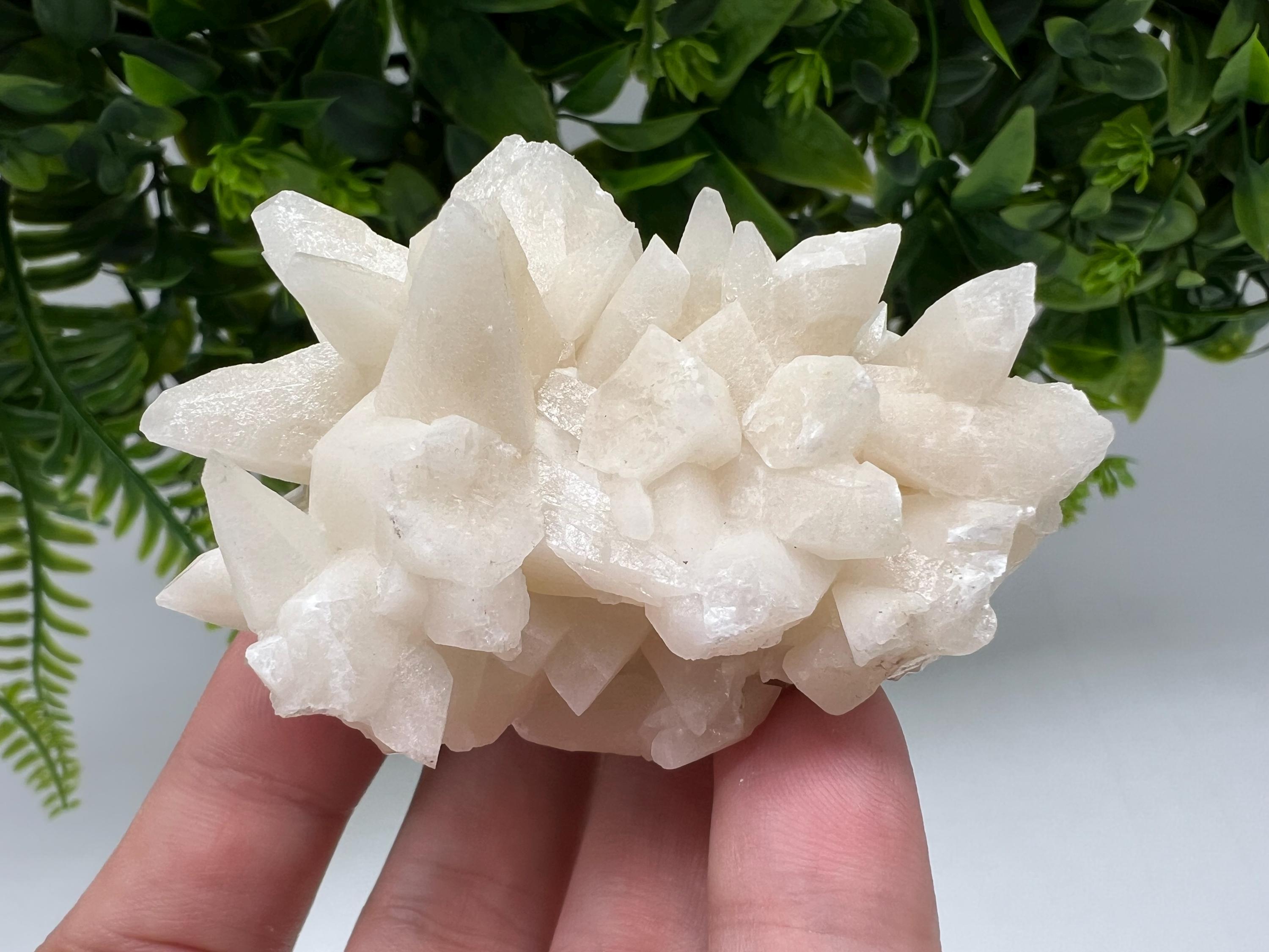 Calcite on Green Quartz: Djurcovo Mine, Bulgaria Healing Crystal