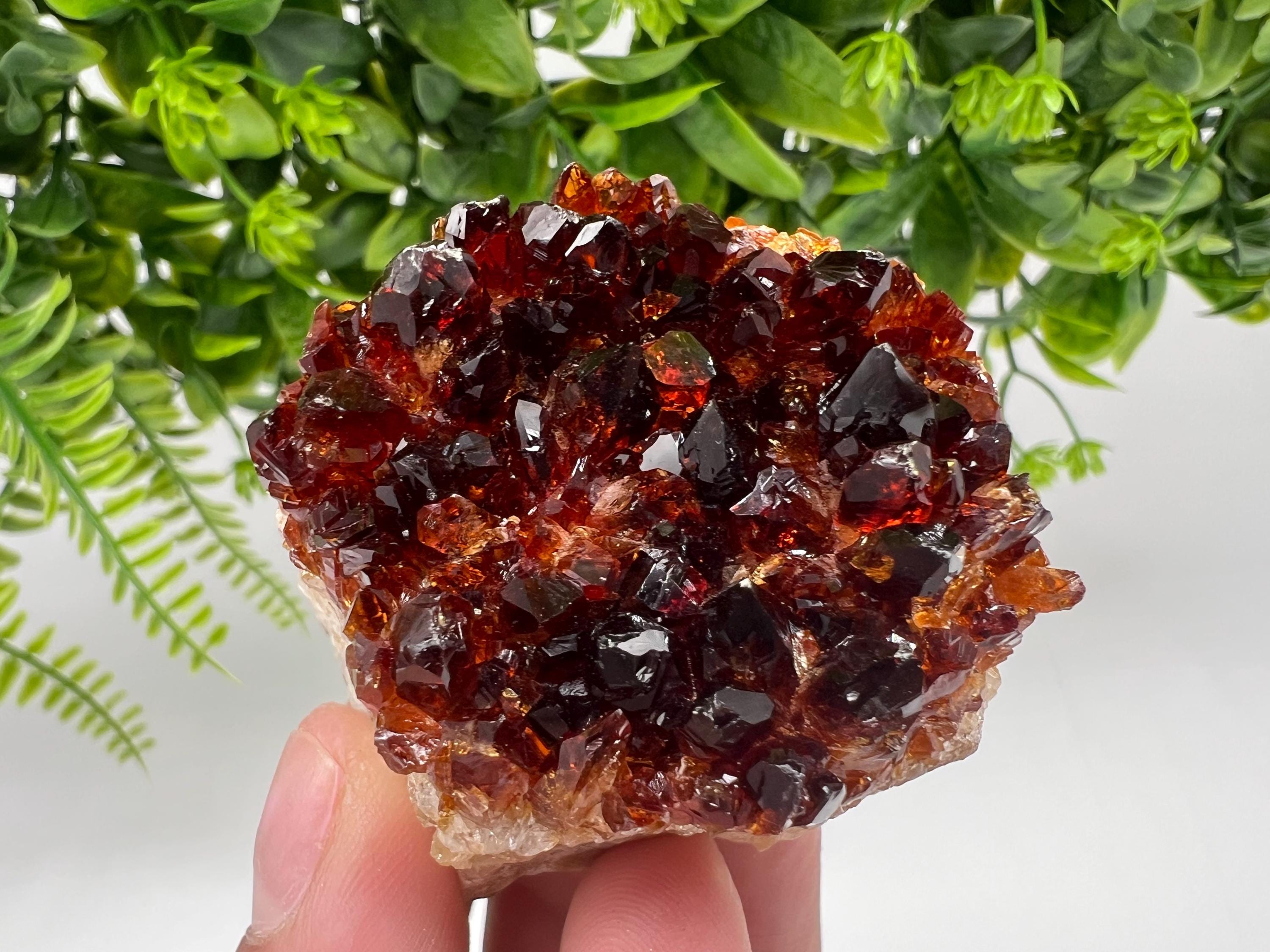 Citrine Crystal Cluster with Hematite Inclusions, Brazil