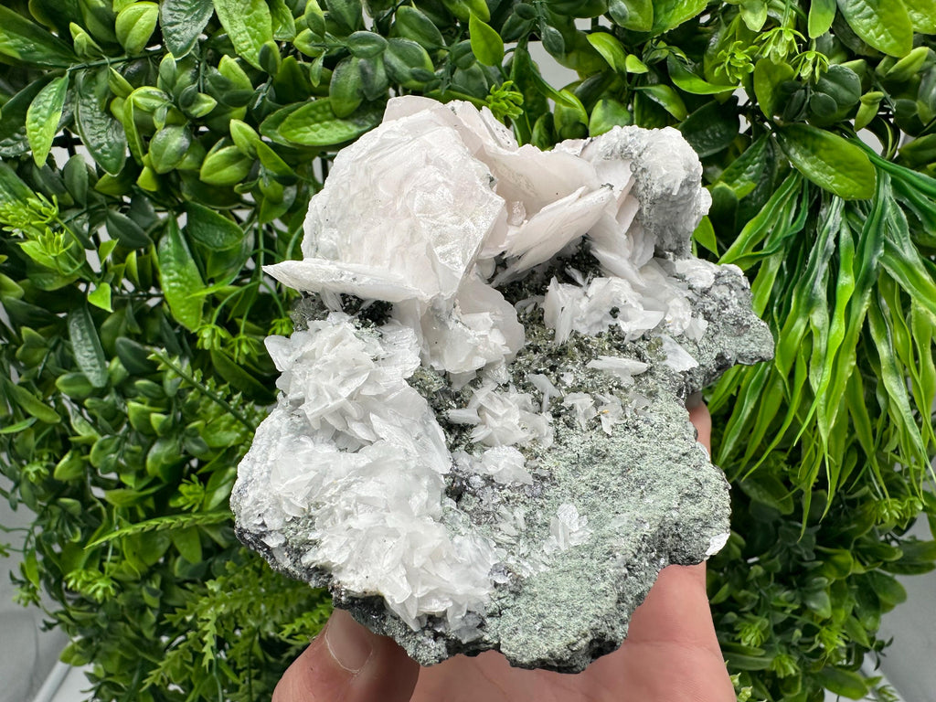 Mangano Calcite Wings on Chlorite Matrix, Bulgaria Mineral Specimen