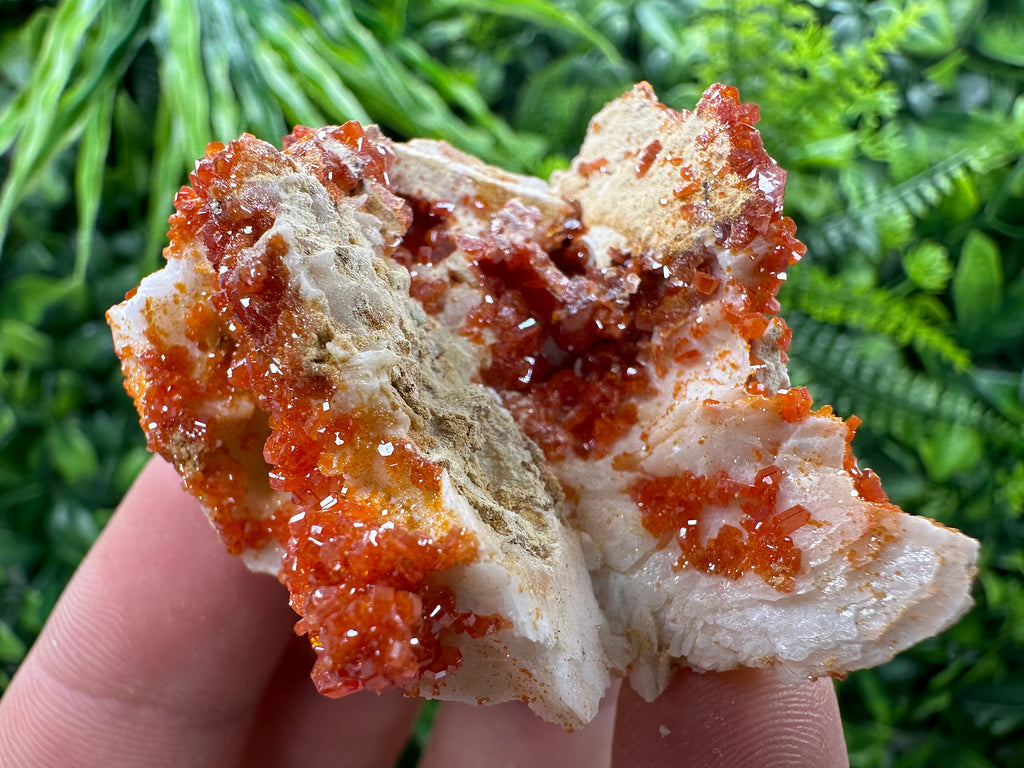 Red Vanadinite Crystal Cluster on Matrix, Morocco Mineral Specimen