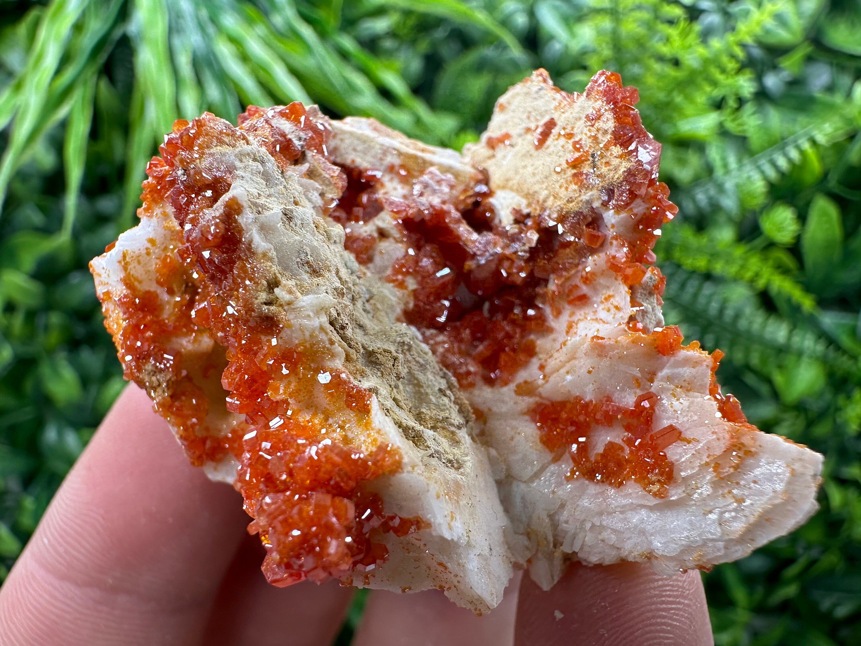 Red Vanadinite Crystal Cluster on Matrix, Morocco Mineral Specimen