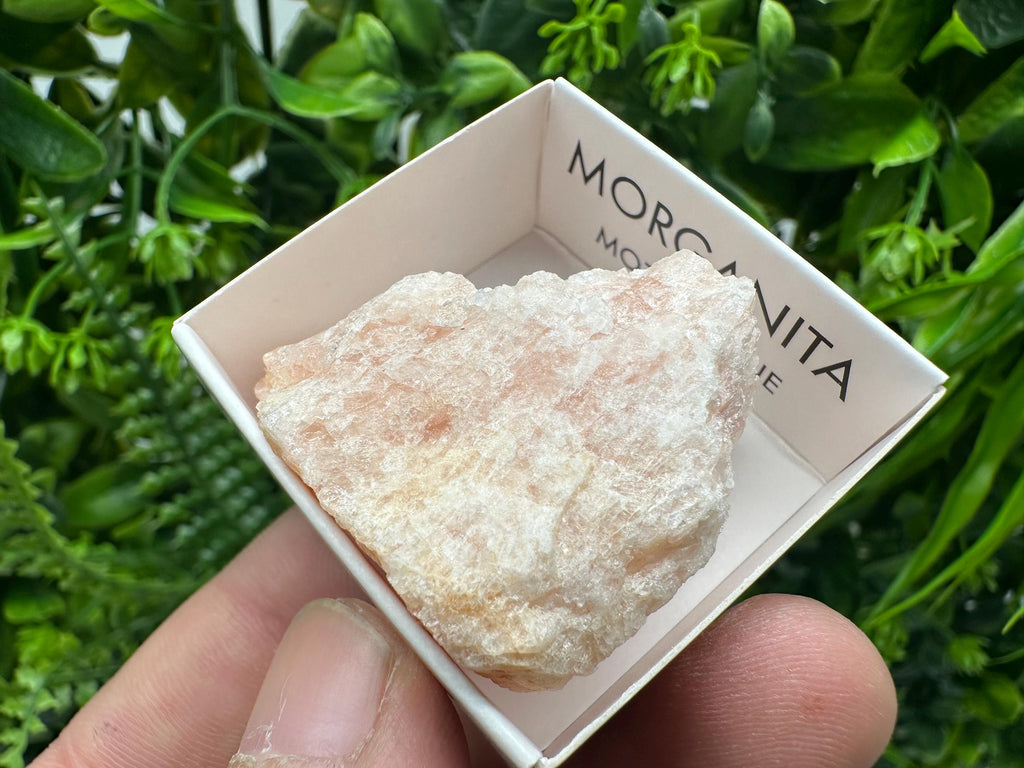 Rare Raw Morganite Mineral Specimen: Mozambique Crystal (4/4 cm)