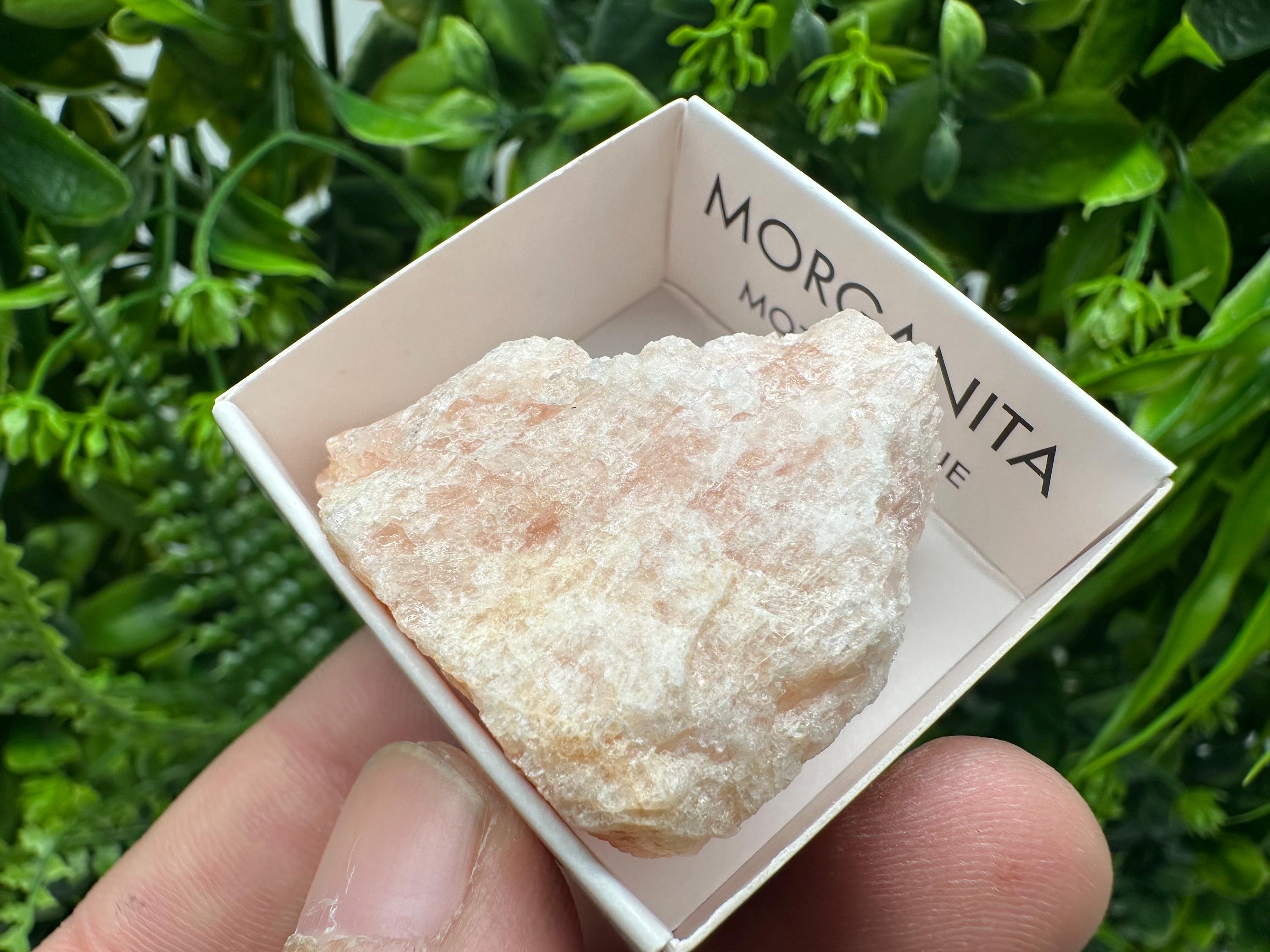 Rare Raw Morganite Mineral Specimen: Mozambique Crystal (4/4 cm)