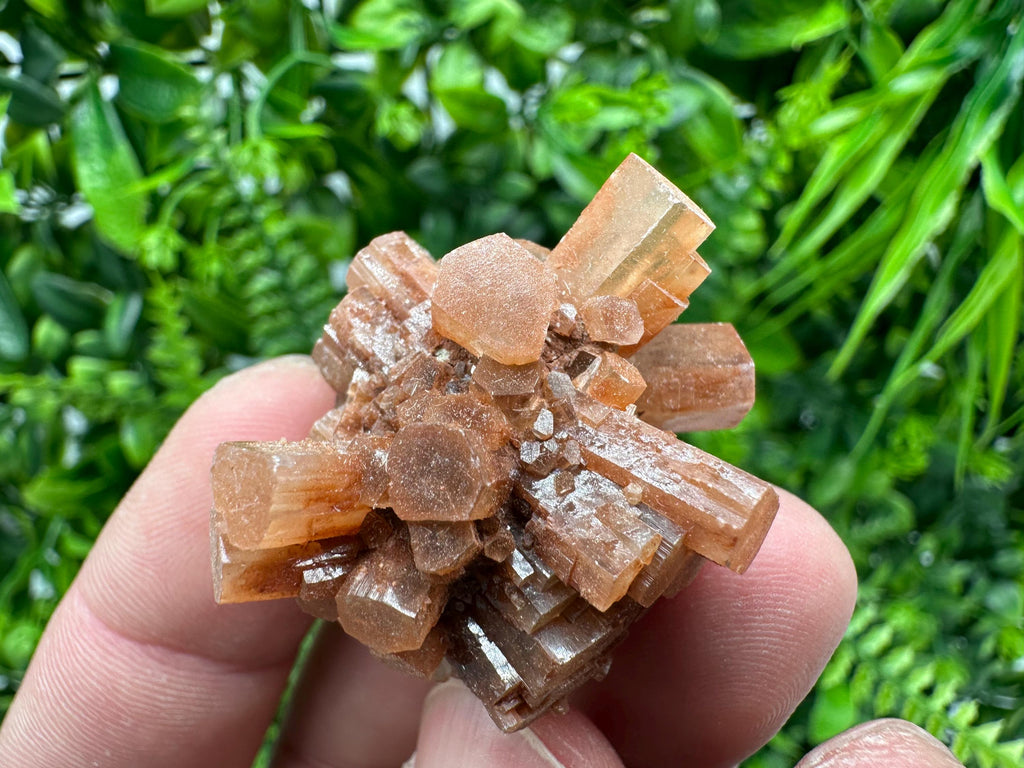 Moroccan Aragonite Sputnik Cluster: Raw Crystal Stone Decor