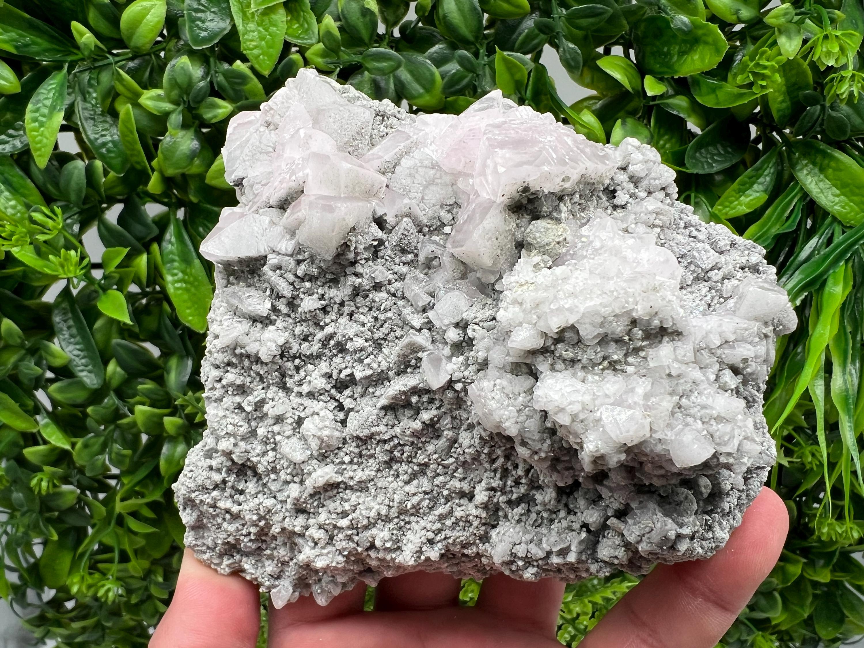 UV Reactive Mangano Calcite Crystal, Androvo Mine Bulgaria