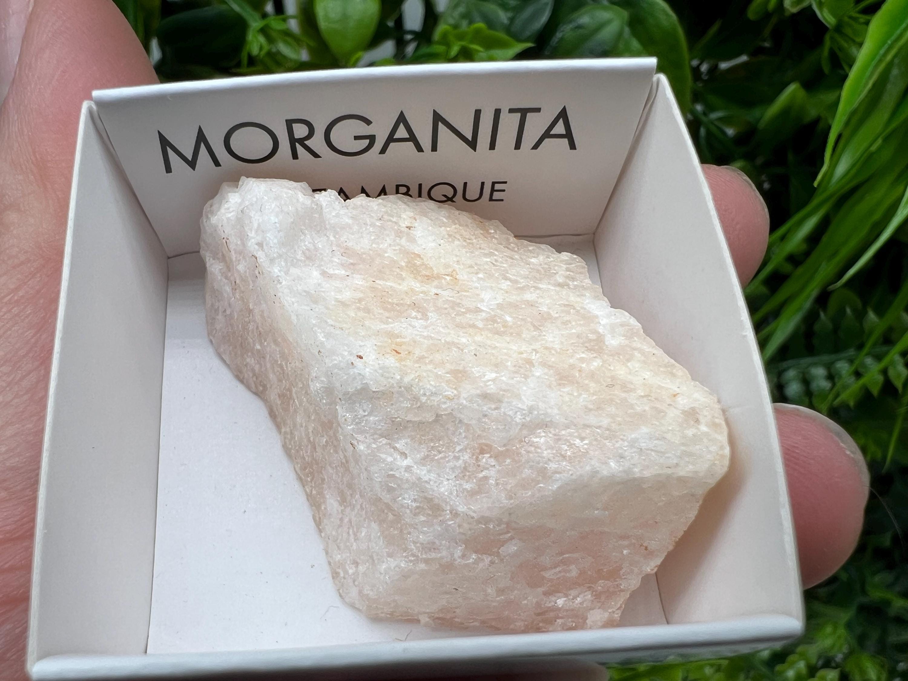 Rare Raw Morganite Mineral Specimen, Mozambique Crystal