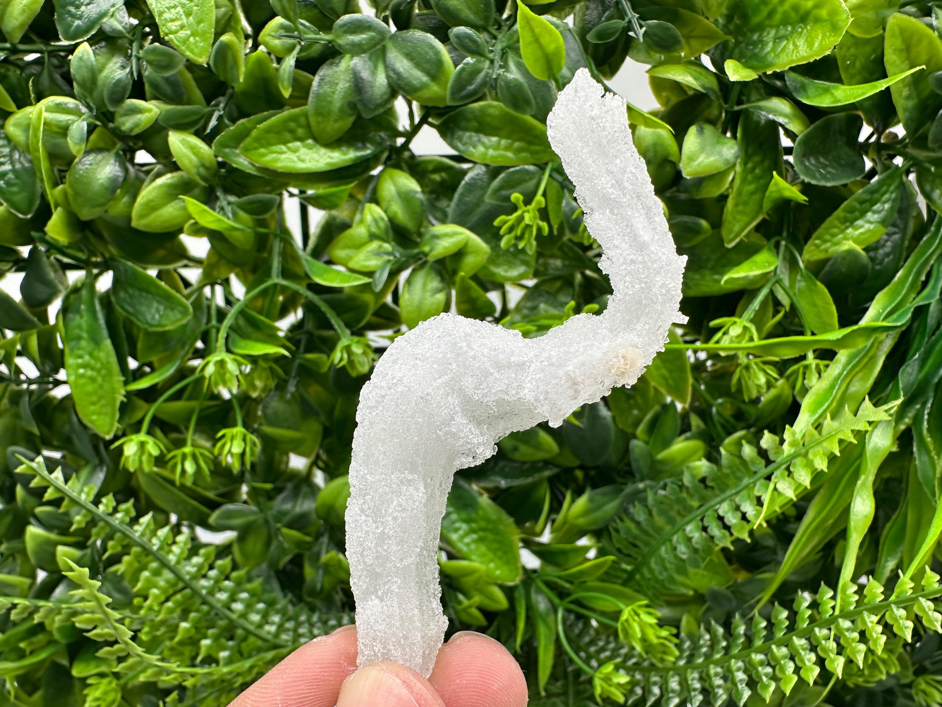 Ram's Horn Selenite Gypsum, Guizhou China, Fluorescent Mineral Specimen