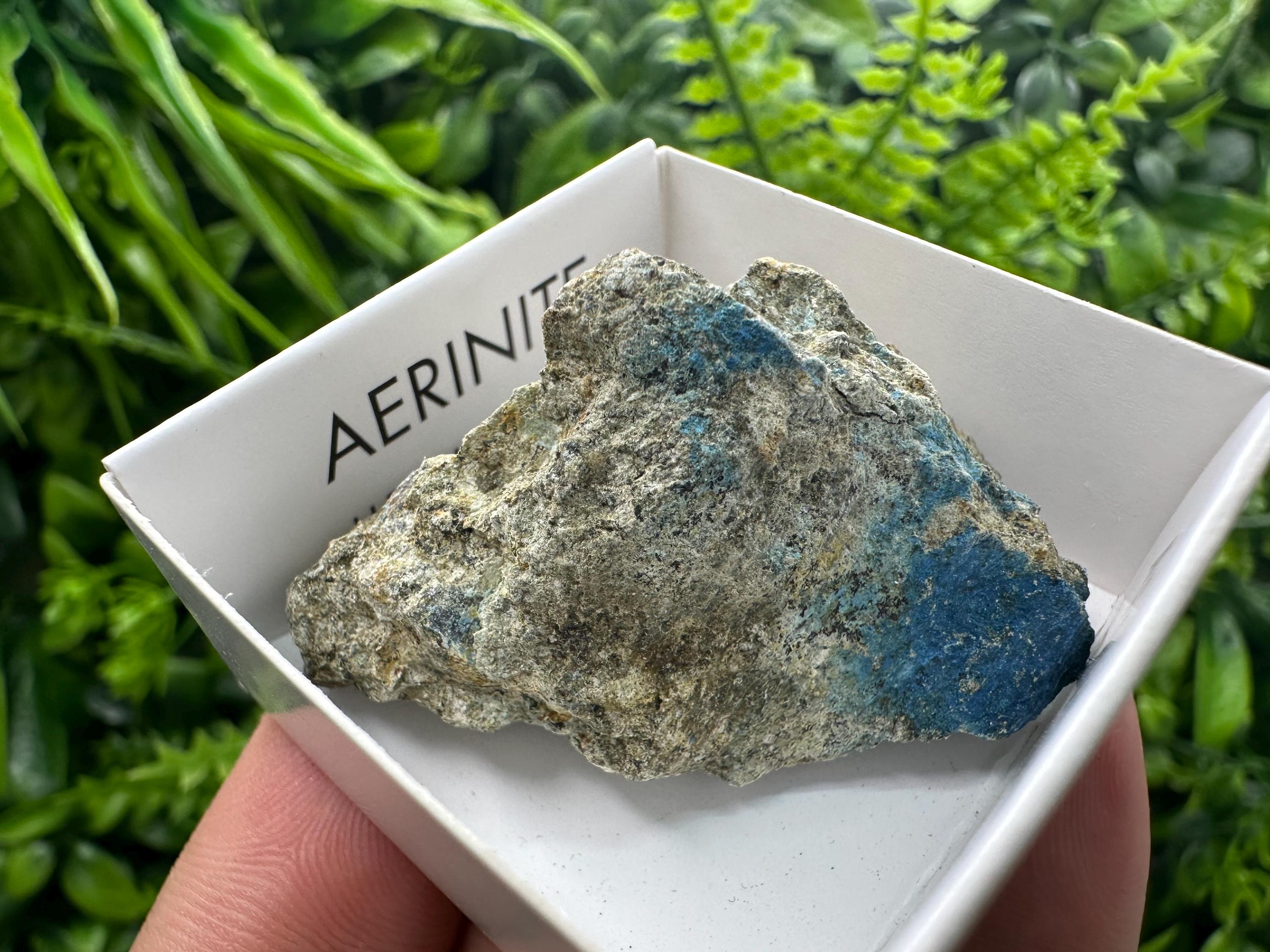 Rare Raw Aerinite Mineral Specimen: Lleida, Spain Crystal