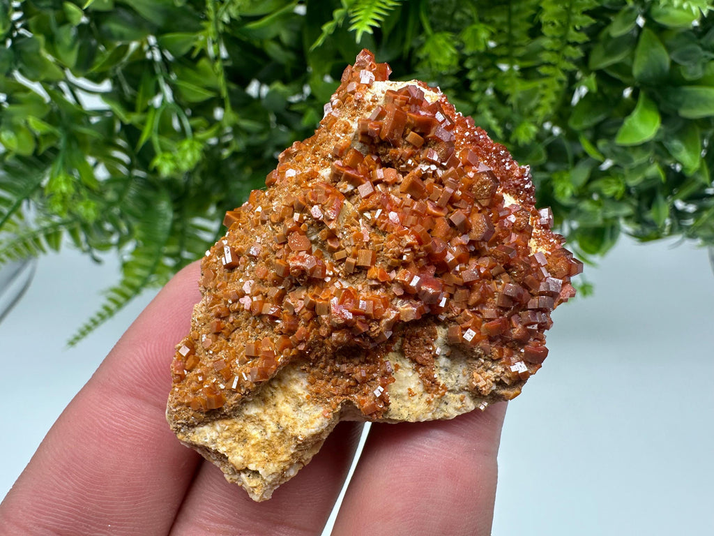 Red Vanadinite on Barite, Moroccan Crystal Mineral Specimen