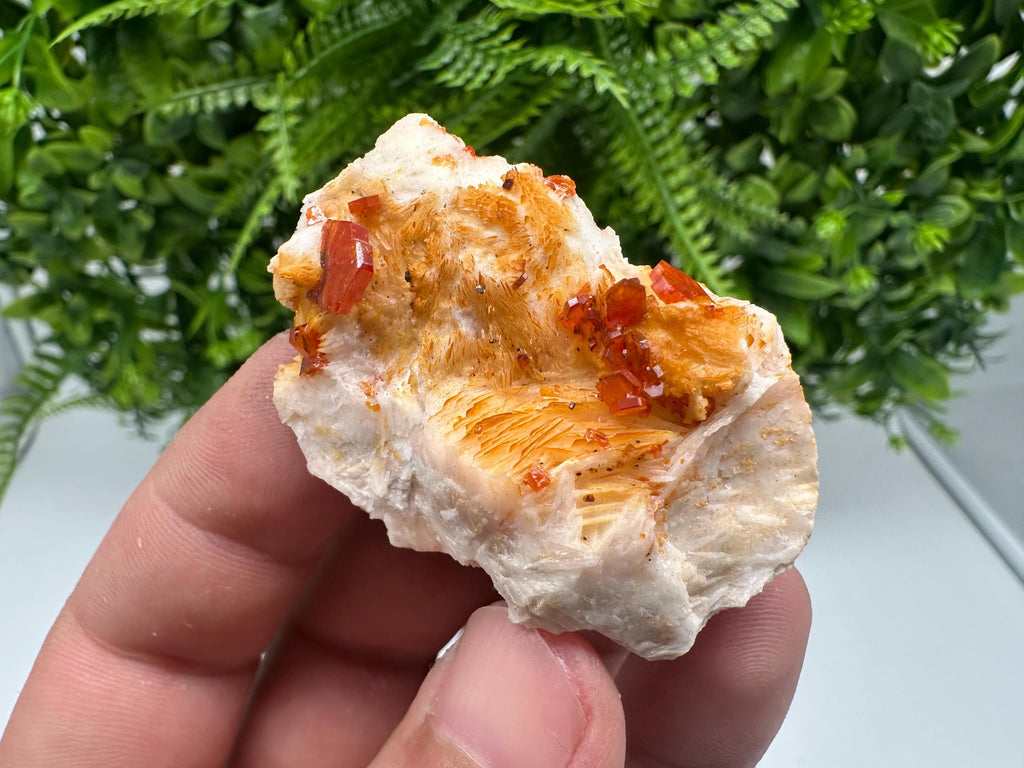 Red Vanadinite on Barite from Marocco,crystal minerals Speciment cluster Vanadinite crystal Vanadinite Geology Vanadinite cluster minerals