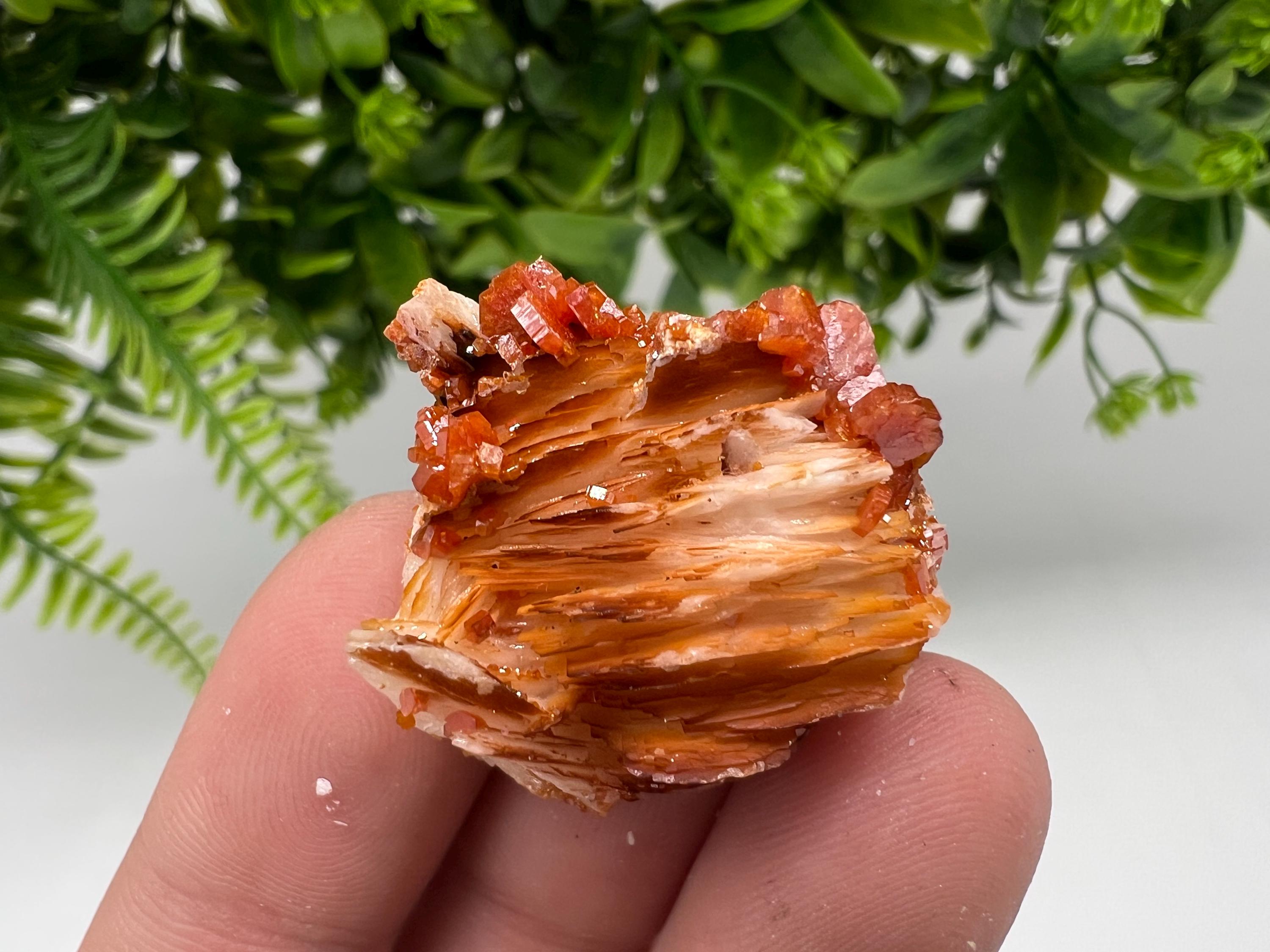 Red Vanadinite on Barite from Marocco,crystal minerals Speciment cluster Vanadinite crystal Vanadinite Geology Vanadinite cluster minerals