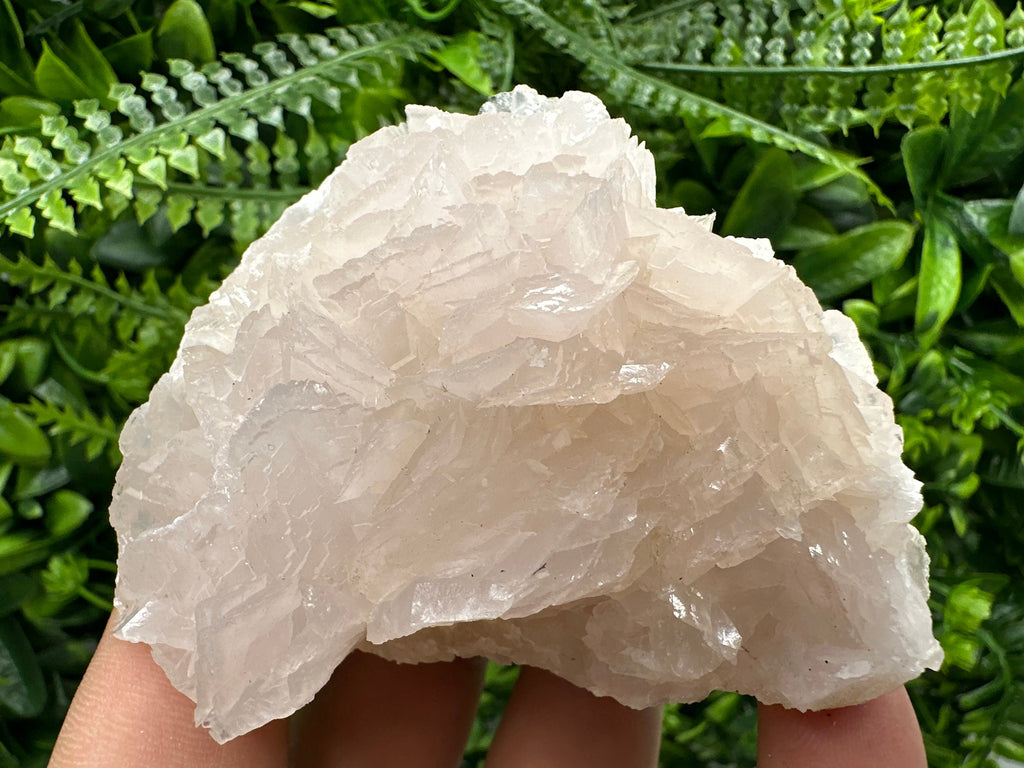 Mangano Calcite with Galena, Borieva Mine, Bulgaria