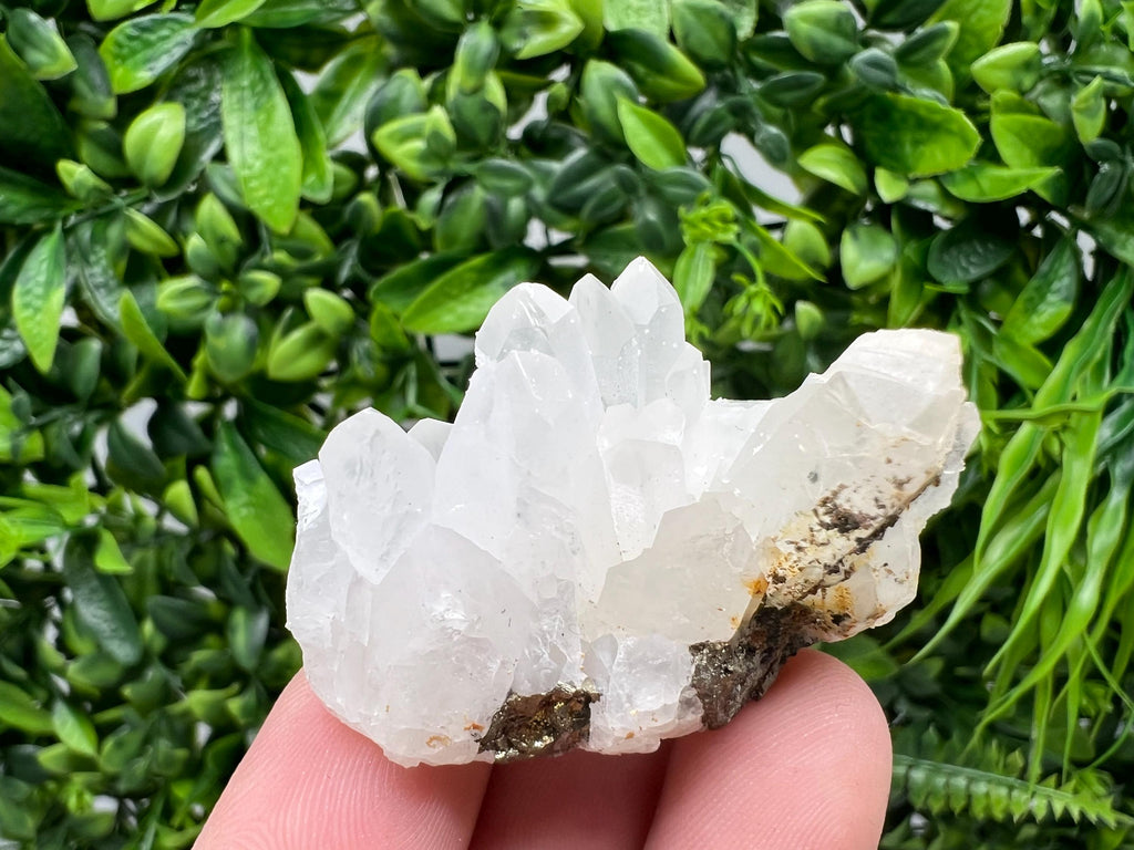 Transparent Quartz on Chlorite Matrix, Borieva Mine, Bulgaria