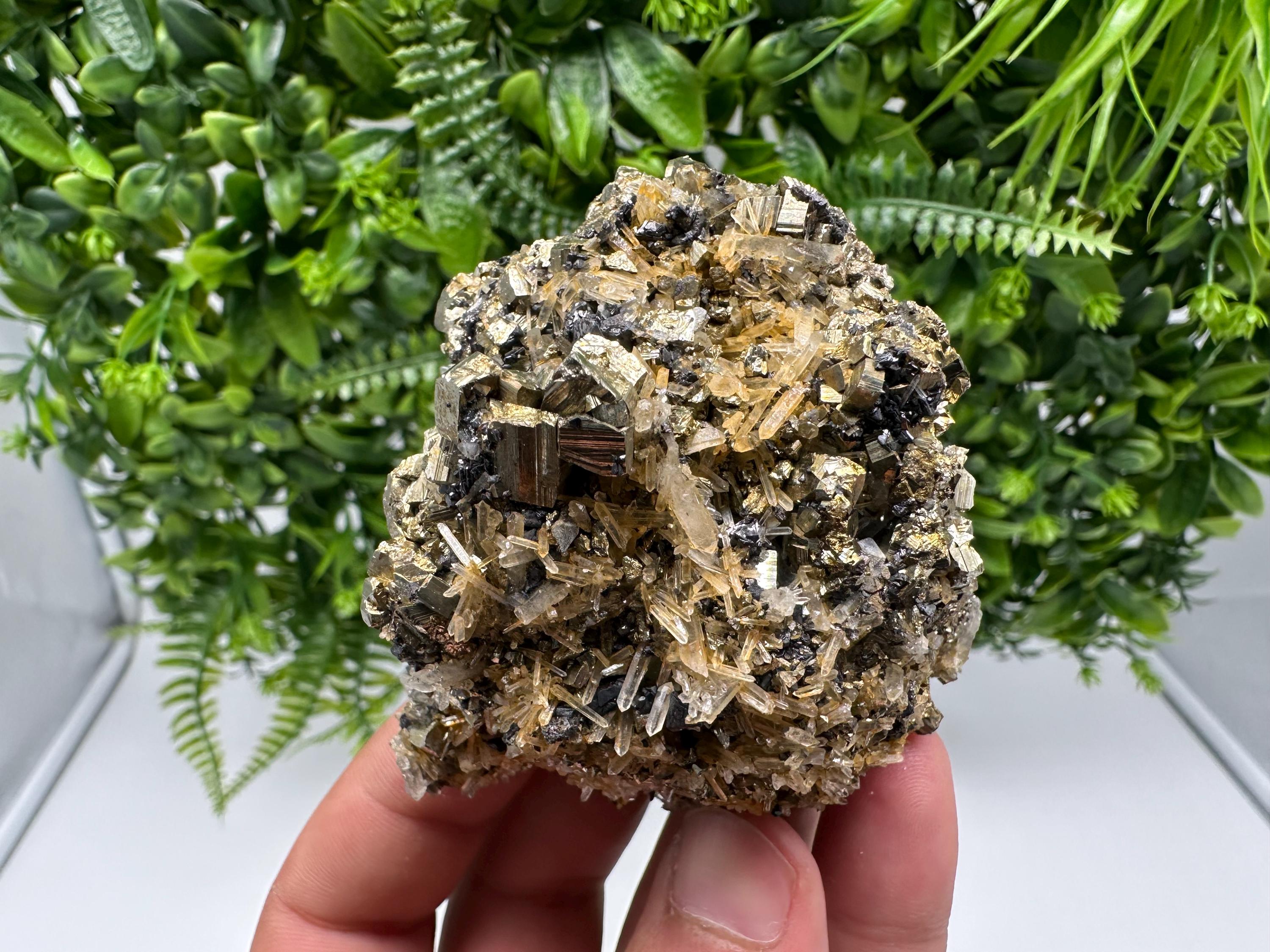 Rainbow Pyrite on Quartz with Oxide, Borieva Bulgaria