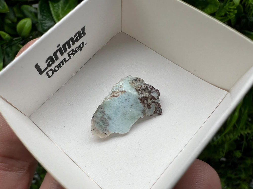 Rare Raw Larimar Specimen: Dominican Republic Crystal (25/15mm)