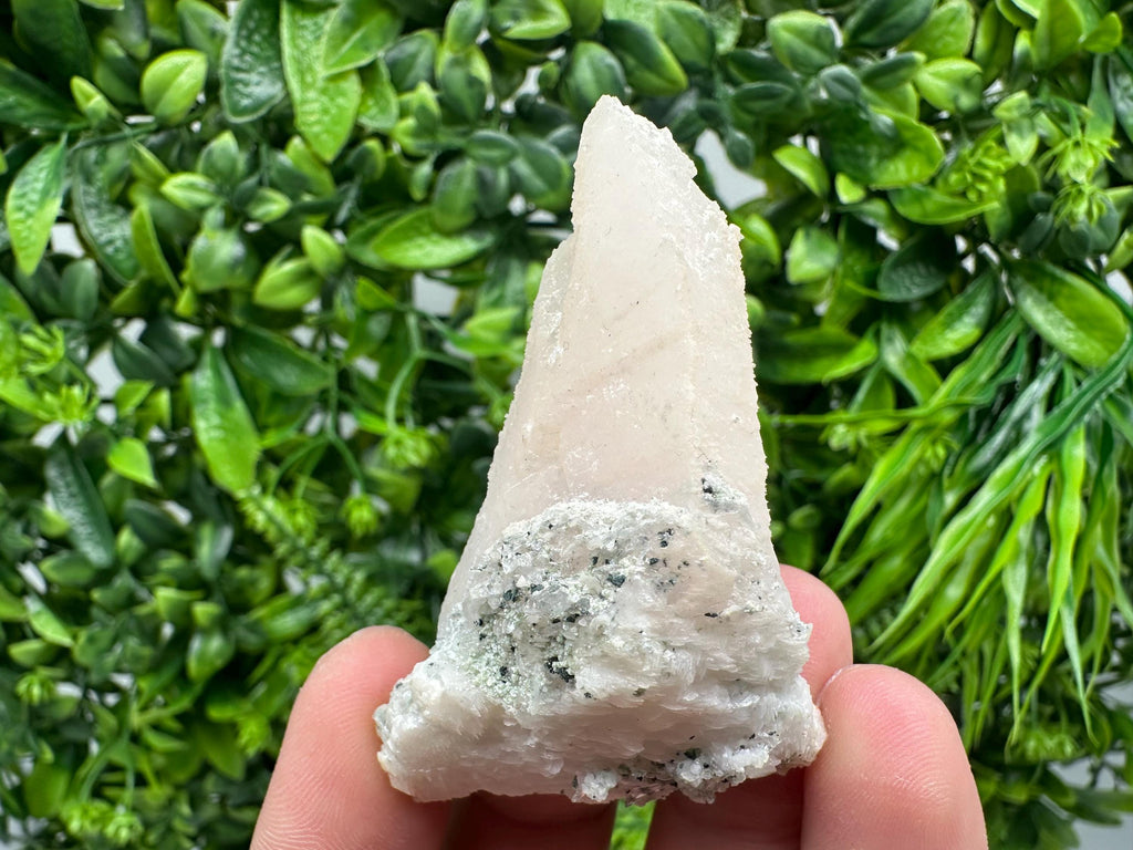 Mangano Calcite with Galena, Bulgaria Mineral Specimen