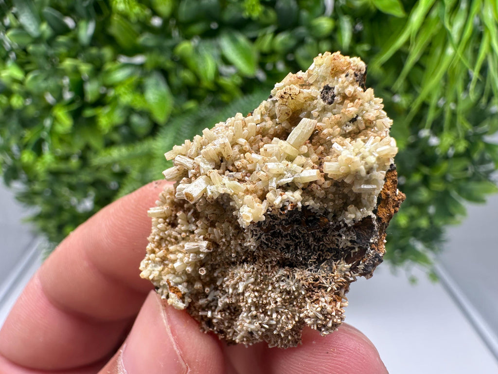 Rare Green Pyromorphite with Hematite on Quartz - Madjarovo Mine
