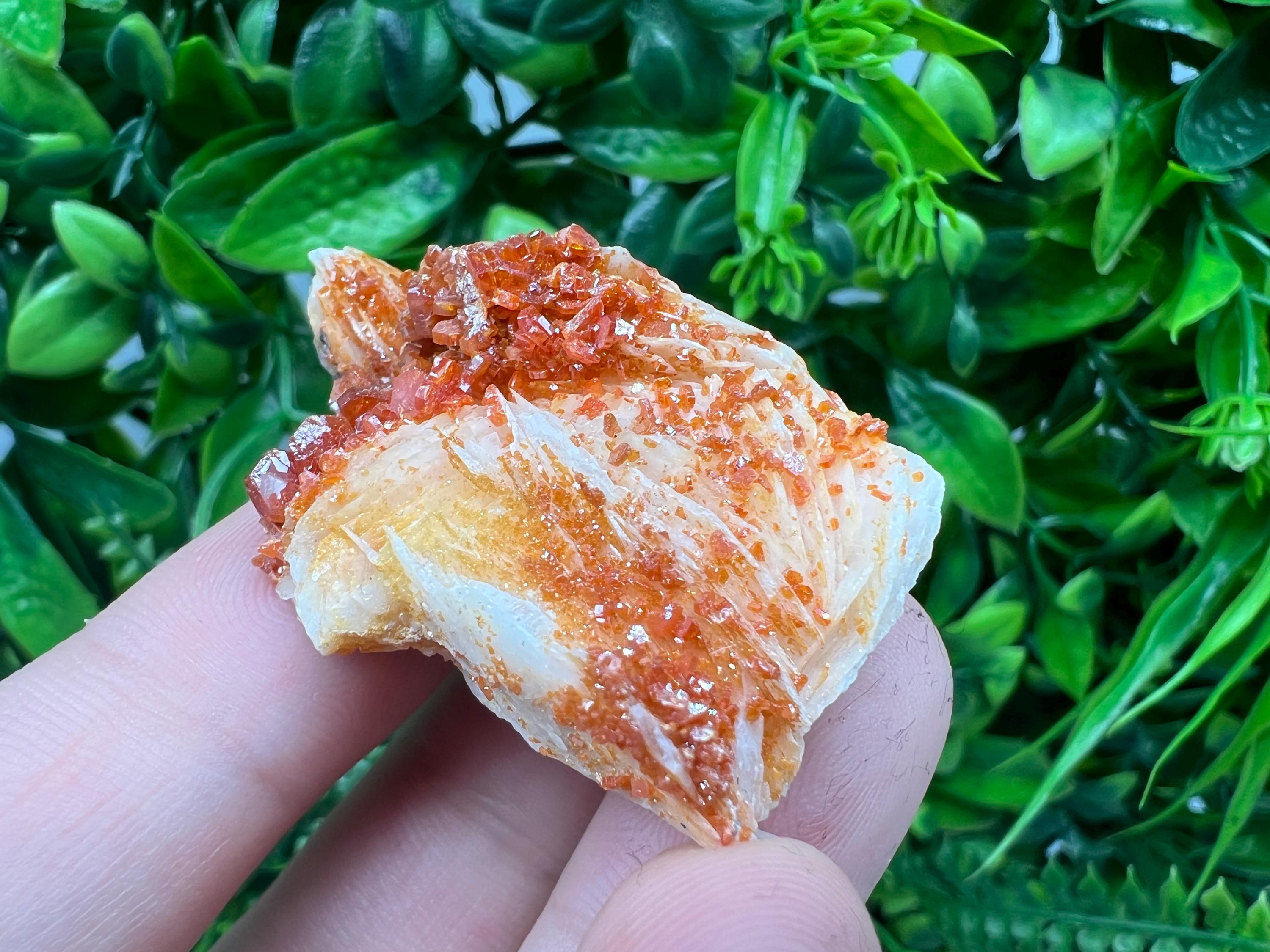 Red Vanadinite on Barite Specimen, Morocco Crystal Mineral
