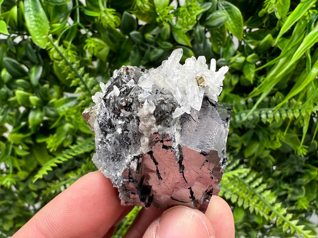 Pyrite Galena Sphalerite Quartz Specimen, Borieva Mine Bulgaria