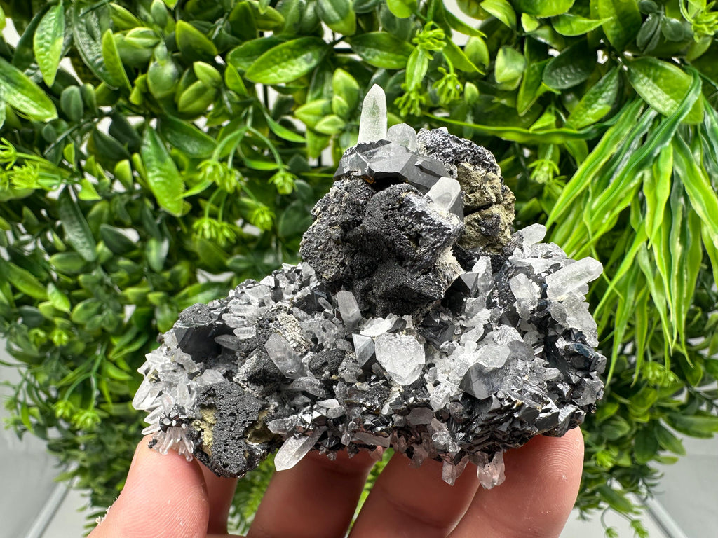 Wonderful Sphalerite Chalcopyrite on  Quartz whit Galena feom 9 th September mine,Bulgaria,natural,collection mineral specimen,gift