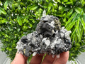 Wonderful Sphalerite Chalcopyrite on  Quartz whit Galena feom 9 th September mine,Bulgaria,natural,collection mineral specimen,gift
