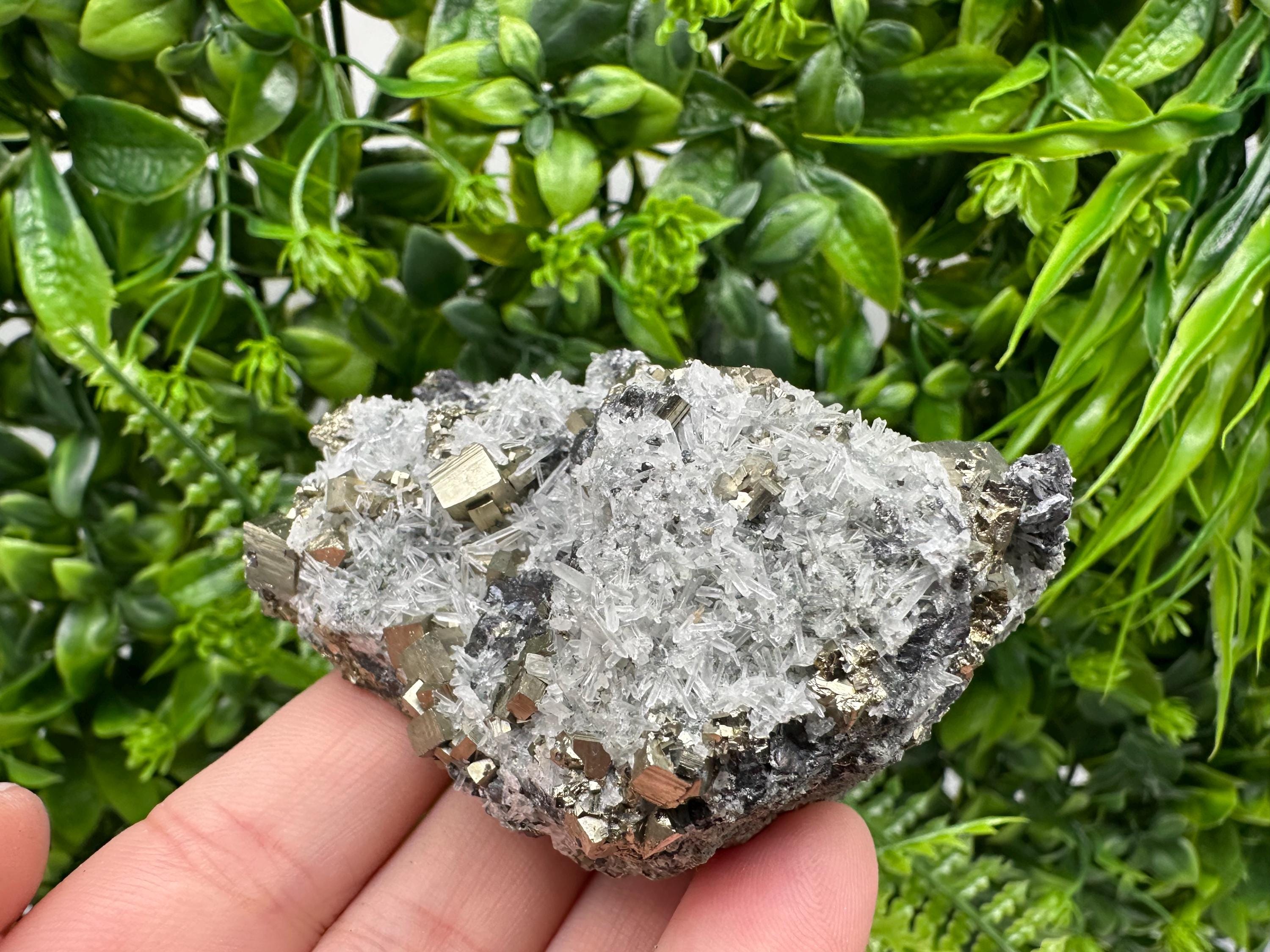 Pyrite on Green Quartz Mineral Specimen, Borieva Bulgaria
