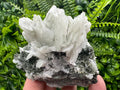 Calcite on Quartz with Epidote Mineral Specimen: Borieva Mine, Bulgaria